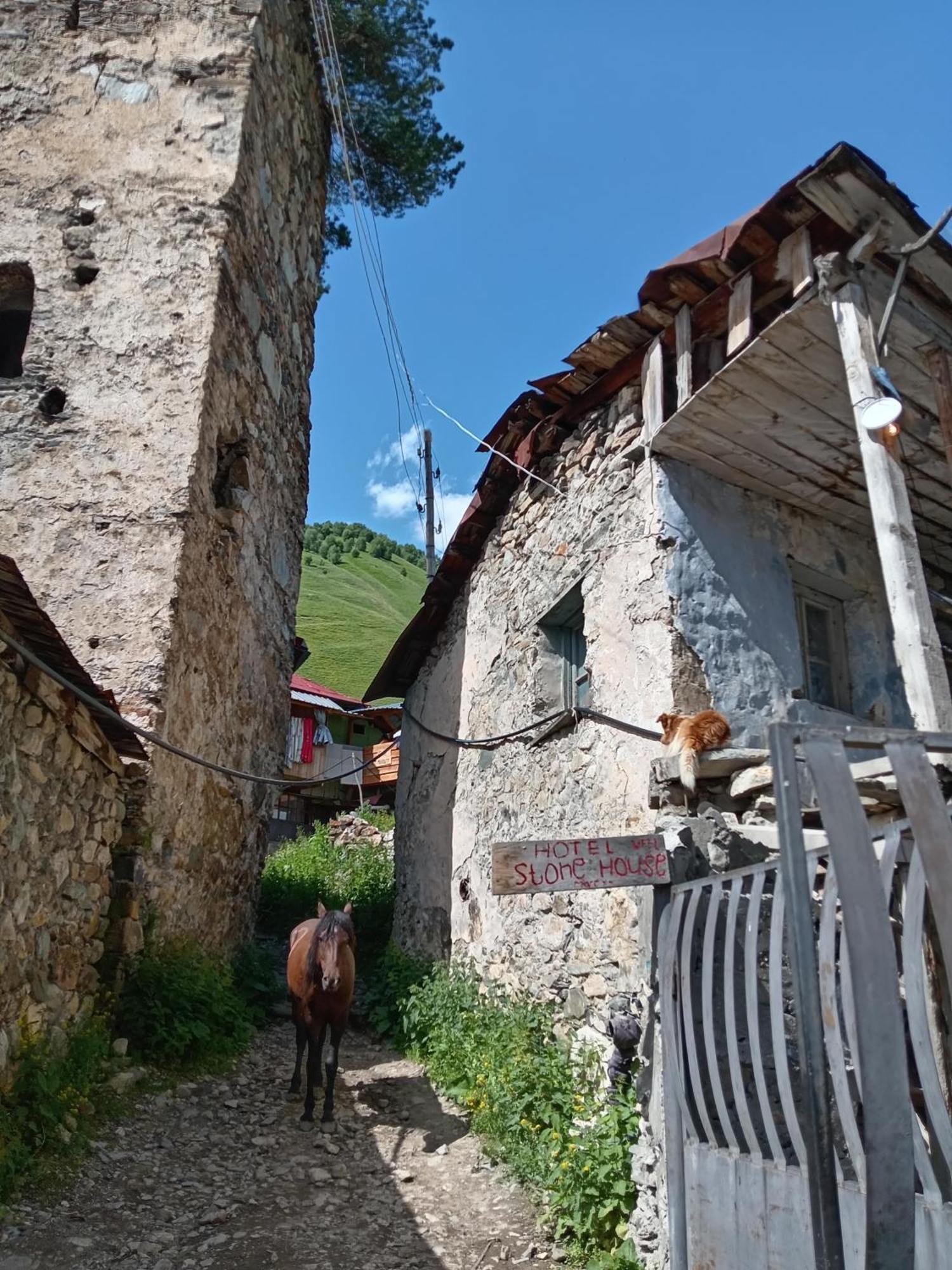 Stone House Marexi Hotel Adishi Exterior photo